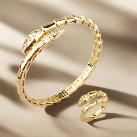 Goudkleurige Slangen Armband & Ring Set – Roestvrij Staal