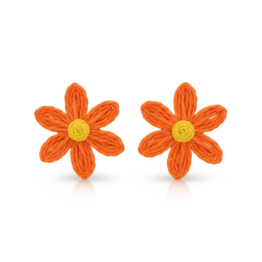 Orange Daisy Earrings
Gekleurde Bloem Oorbellen